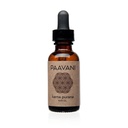 PAAVANI Ayurveda Ear Oil - Made in USA - Ayurvedic Herbal Ear Drops - Itchy Ears & Earache Alief - 100% orgânico, 1 oz
