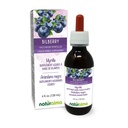 Naturalma Bilberry ou mirtilo europeu (Vaccinium myrtillus) Fruta Tintura sem álcool - 4 fl oz Extrato líquido em gotas - Suplemento de ervas - Vegan
