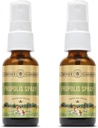 Honey Gardens Bee Propolis Garganta Spray com Apitherapy Raw Honey, Alcaçuz Root e Usnea 50 Servings