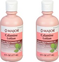 Maior Loção de Calamina - Suspensão Típica de Calamina protetor da pele USP - 6 Fl Oz (177 ml) (2 embalagem)
