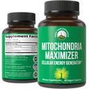 Mitocondria Maximizer com CoQ10 e ativo PQQ. Melhor suplemento de suporte mitocondrial com óleo MCT. Gerador Celular Natural para Energia Limpa, Focada 60 Cápsulas Vegetarianas