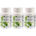 Super-Absorção de cracking Astragaloside IV 98% Suplementos antienvelhecimento para suporte imune adulto 50mg/Cap 90 Caps em 3 garrafa
