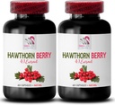 suplemento extrato hawthorn - BERRIES HAWTHORN EXTRACT - suplemento de bagas, suplemento antioxidante para as mulheres, bagas antioxidantes, extrato orgânico hawthorn berry, antioxidantes para as mulheres 2 Bot 120 Caps