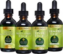 Go Nutrients Digestion & Detox Bundle – Clorofila Líquida, Borda do Fígado, Borda Intestinal, Facilidade Turmérica – Suporta limpeza, digestão, saúde do fígado e defesa do corpo, revitalizar a pele & vitalidade