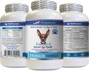 Cuidados Oculares para Cães - Dogs Eye Health Formula - Advanced Eye Support Complex - VETS Recomendado, Dog Cranberry, Eye Vision Supplement for Dogs, Supplement for Eye Care, Eye Support Vitaminas 1Bot 60Tabs
