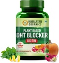 DHT genérico baseado em plantas Bloqueador com Bondade de Folhas Nettle para Homens e Mulheres - 60 Veg Cápsulas