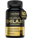 Atlantis Nutrition Himalayan Shilajit Cápsulas Formulado com 20% de ácido fulvico 10:1 Extracto Fornecendo 10.000mg D.H.E. EUA Made
