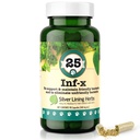 Silver Lining Herbs 25 Canine INF-X - Ajuda a manter níveis de digestão saudável - Suporte Natural para processo de desintoxicação normal - Suplemento de saúde de ervas para cães - 90 Cápsulas