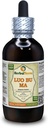 Luo Bu Ma, Dogbane (Apocynum Venetum) Tintura, Extrato Líquido de Folha Secada (Nome: HerbalTerra, Feito orgulhosamente nos EUA) 4 fl.oz (120 ml)