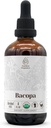 Bacopa USDA Orgânico Extrato Livre de Álcool, Drops Ervas Orgânicas, Suplemento, Relaxamento, Efeito Cognitivo Positivo, Tintura Feita a partir de 100% Bacopa Orgânico (Bacopa Monnieri) Herb seco 4 onças