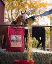 Glow 40 lb, Aids no ganho de peso para cavalos e melhora o casaco e condição, alta em Omega-3