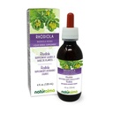 Naturalma Rhodiola rosea (Sedum roseum) Raiz de Tintura sem álcool - 4 fl oz Extrato líquido em gotas - Suplemento de ervas - Vegan