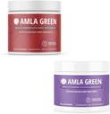 Amla Powder & Green Tea Superfood Supplement, Apoio antioxidante, Feito com Hibiscus (90 porções) &Elderberries (30 porções), Orgânico, Vegan