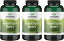 Swanson Hawthorn Berry Suplemento - Antioxidante Flavonóides (250 Cápsulas, 565 mg cada) 3 Embalagem