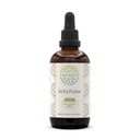 HerbEra Alcachofra B120 Extrato de ervas sem álcool Tintura, gotas de líquido concentradas Alcachofra natural (Cynara Scolymus) (4 fl oz)
