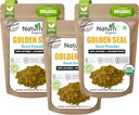 Naturefi Orgânico Goldenseal Raiz de Pó - 10.5 oz, 300 Servões * USDA Orgânico □ Lab testado* Puro Natural Goldenseal Raiz de Pó Suplemento