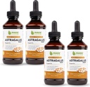 Maxx Herb Astragalus Root Extract - Max força líquido absorve melhor do que cápsulas ou pó, para suporte imunológico e clareza mental - 4 garrafas, 4 Oz cada (240 Servings)