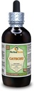 Catechu (Acacia Catechu) Glicerite, Extrato Líquido Livre de Álcool (Nome da marca: HerbalTerra, Proudly Made in USA) 4 fl.oz (120 ml)