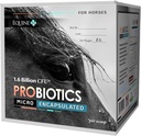 Probióticos micro-encapsulados para cavalos - Premium Equine Digestive Health Supplement