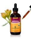 Herb Pharm certificado Rhodiola extrato de raiz orgânica para energia, resistência e resistência, Glicerite sem álcool, 4 Once