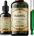 Chlorophyll Liquid Drops – Orgânico Natural Detox & Cleanse Support – Aumentar a energia, Imunidade e Metabolismo – Vegan, Não-GMO, sabor de hortelã, 2 fl oz – Extrato de clorofilina de cobre de sódio – Made in USA