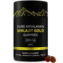 Chicletes de Shilajit □ Gummies Alpha para homens □ Lab Tested I No Added Sugar □ Ashwagandha, Gokshura □ Ácido Fulvico & 85+ Raso Mineral para homens, Mulheres □ Não-GMO □ 60 Gummy