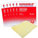 Burnsield 4" X 4" Vestido de queimadura, estéril - 6 Conde