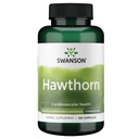 Swanson Hawthorn Extract (Standardizado) 250 Milligrams 120 Cápsulas
