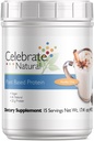 Celebrar Vitaminas Vegan Protein Powder - All Natural Plant Based Protein Shake Mix - 20g Pea Protein & 3g Fibra, para cirurgia pós-bariátrica - Vanilla Chai (15 Servings)