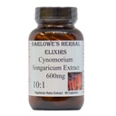 Cynomorium Songaricum Extract 10:1 □ 600mg Por cápsula □ Suplemento de ervas para Stamina, Vitalidade & Bem-Estar