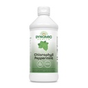 Saúde Dinâmica Líquido Chlorophyll Peppermint 100 mg, Clorofillinas de cobre de sódio com Alfalfa e folhas de amoreira, Limpar planta e desodorizante, Sem açúcar adicionado, 16 Fl Oz