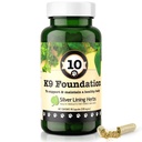 Silver Lining Herbs Global Dog Health Supplements 10 K9 Foundation - Suplementos Caninos naturais para cães Fígado, Rim, Digestão, Vitalidade e Sistema Imune Suporte para cães - 90 Cápsulas