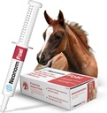 Potro de Saúde Animal Jaguar - Equine Supplement Paste para o apoio à adequada hidratação e saúde intestinal - Produto baseado em plantas para pré-desmam potros (30 mL)