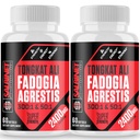 2400mg Fadogia Agrestis Tongkat Ali Supplements - Teste de Terceiros - 1400mg Fadogia Agrestis & 1000mg Tongkat Ali, força máxima, massa muscular e desempenho atlético, 2 embalagens