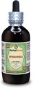 Speedwell (Veronica Officinalis) Glicerita, folhas secas orgânicas Extrato líquido sem álcool (nome da marca: HerbalTerra, orgulhosamente feita nos EUA) 4 fl.oz (120 ml)
