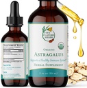 Astragalus Tintura - Suporte do sistema imunológico, Suporte respiratório, Suporte do sistema digestivo, Maca, Suplemento de ervas - 2 Fl Oz