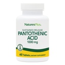 NaturesPlus Ácido Pantotênico, Libertação Mantida - 1000 mg, 60 Comprimidos - Suplemento de vitamina B5 de alta potência - Vegetariano, Glúten Livre - 60 Servimentos