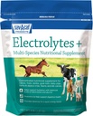 Eletrólitos de Sav-a-Caf PlusTM Suplemento 6 Libras (6 LB) Bolsa