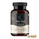 TERRA ORIGIN Saudável Gut Reset PM 60 Cápsulas Veggie O Suplemento Natural de Ajuda ao Sono para Ciclos de Sono e Despertar .