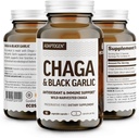 100% Real Wild Chaga Mushroom & Aged Black Alho em pó Cápsulas — Antioxidante & Imune Supplement Suplemento de suporte □ Floresta Nórdica Chaga Mushrooms com Alho Preto
