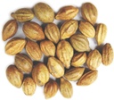 Naturals Terminalia Chebula . Kadukkai . Harad . Inknut .Haritaki Indian Origin Herbs (200g(7 oz))