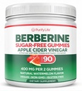 Pastilhas de vinagre de maçã sem açúcar para adultos (90 Chews) – Sem filtro, Detox ACV Gummies com a mãe para Gut Health, Energia, Digestão e Imune Support – Sem mais cápsulas, pílulas ou ácido Reflux