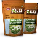KILLI Kuppaimeni □ Indian Acalypha