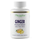 Paradise Herbs Extrato de Ginger Premium para Saúde Digestiva, Super Potente, Ultra Puro, Vegan, Não-GMO, Gluten Free, 60 Cápsulas Vegetarianas