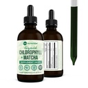 360 Nutrition Matcha Chlorophyll Liquid Drops com L-Theanina, Glúten livre & Vegan interna desodorante Suplemento, Suporta Gut Saúde, Digestão, Energia, Pele Radiante, Absorção rápida, 60 Servings