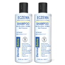 Dermasolve Eczema Relief Shampoo - Flare Control Scalp & Dandruff terapia gratuita que protege, hidrata e repara a pele para crianças e adultos - Esteróide livre (2-Pack)