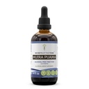Segredos da tribo Muira Puama Tintura Extrato Líquido Livre de Álcool, Muira Puama (Ptychopetalum Olacoides) Bark seco (4 FL OZ)