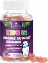 Kids Imune Support Gummies - Vitamina C, Zinco & Echinacea, Chinelos diária Imune Health Support Gummy para as idades 4 e para cima, Vitaminas da natureza para crianças, Vegan & Non-GMO, Berry Flavor - 90 Gummies