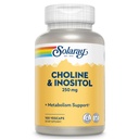 SOLARAY Choline & Inositol 250 mg .; Combo Dois Nutrientes para Metabolismo de Gordura Saudável, Apoio à Função do Cérebro