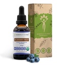 Segredos da Tribe Bilberry Fruit USDA Orgânico Extrato Livre de Álcool, Gotas de Ervas de Alta Potência, Visão, Feito a partir de 100% Certified Organic Bilberry (Vaccinium Myrtillus) Fruta seca 2 onças